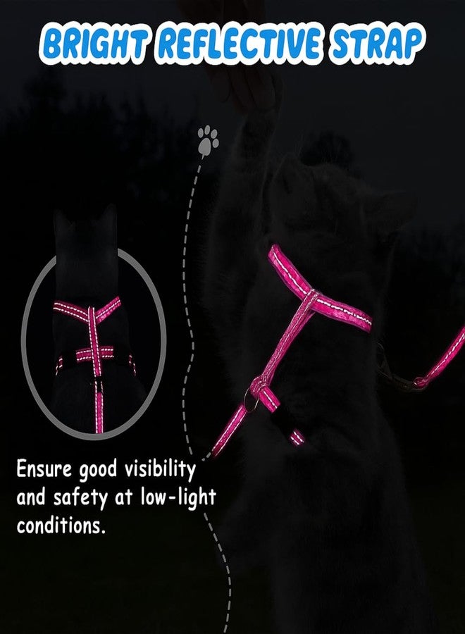 PET FUN Adjustable Cat Harness with Leash - Comfortable, Escape-Proof, Lightweight & Durable Nylon Strap with Safety Buckles - Perfect for Walking, Training & Outdoor Adventures (Pink) - Image 4